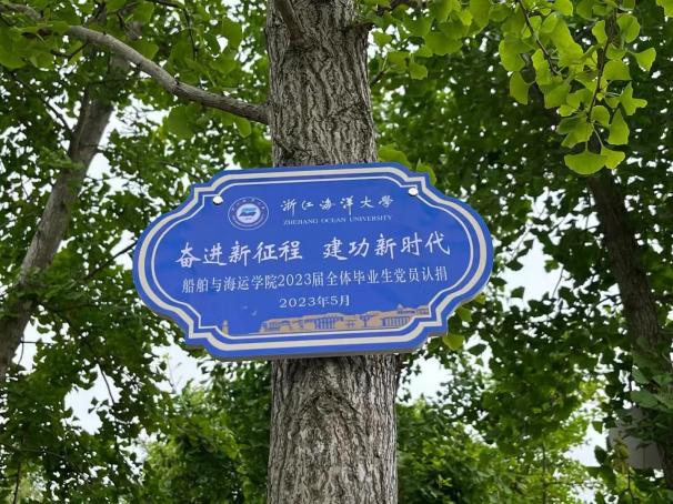鼎盛娱乐
