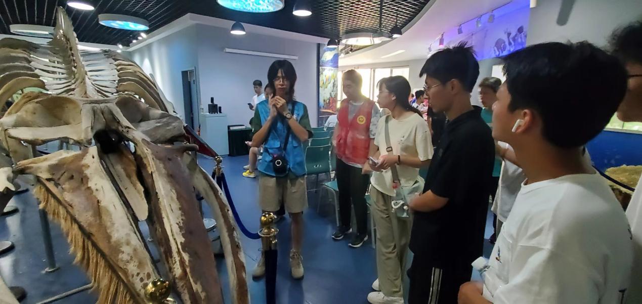 鼎盛娱乐