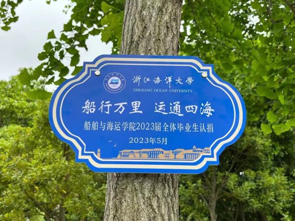 鼎盛娱乐