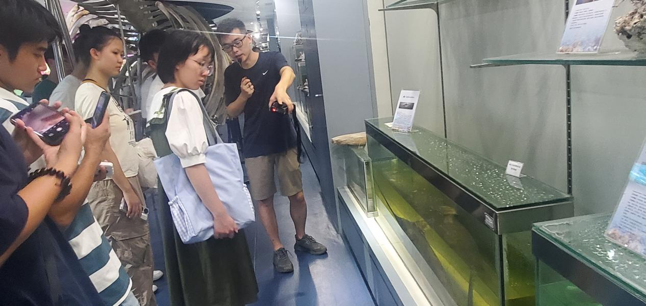 鼎盛娱乐